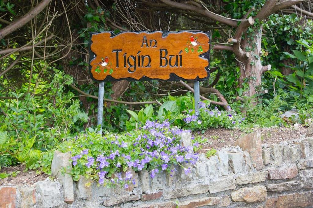 An Tigin Bui Villa Glanbannoo Upper Kültér fotó